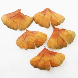 Gold Ginkgo Leaves | Fall Leaves | Artificial Leaves | Flower Crown Filler | Millinery Leaves | Artificial Ginkgo | Fall Foliage  Blue Hutch