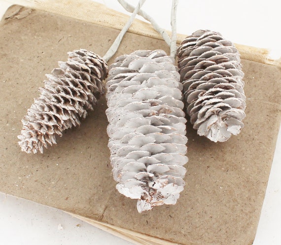 Glitter White Pine Cone Picks Winter Greenery DIY 