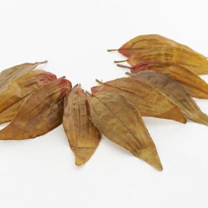 5&quot; Olive Green Heather Leaves | Faux Leaves | Leaf Filler | Fall Foliage | Millinery Leaves | Artificial Leaves | Craft Leaves | Blue Hutch