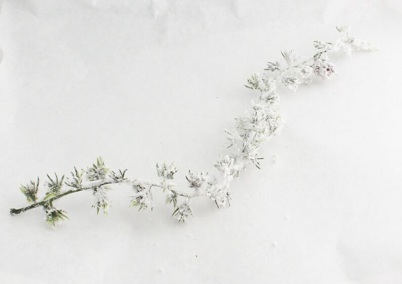 Winter Greenery Christmas Decor Christmas Spray 16 Snowy Pine Spray Winter Pine Flocked Pine Snowy Greenery The Blue Hutch 1083