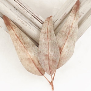 Artificial Lily Gray Leaves for Crafts | Fake Leaf Picks | Leaves for Crowns | Fake Leaf Filler Scrapbook Leaves Embellishment  LY202