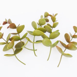 5 Fall Eucalyptus Sprigs | Leaf Filler | Leaves for Wedding Crown | Artificial Greenery | Artificial Eucalyptus | Fall Greenery  |EU206