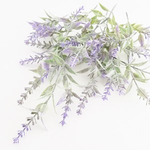 K&ouml;nnte beinhalten: Ein Bund Lavendelzweige mit violetten Bl&uuml;ten und gr&uuml;nen Bl&auml;ttern. Der Lavendel ist in einem lockeren, kaskadierenden Stil angeordnet.
