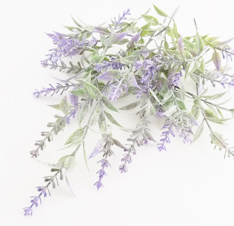 K&ouml;nnte beinhalten: Ein Bund Lavendelzweige mit violetten Bl&uuml;ten und gr&uuml;nen Bl&auml;ttern. Der Lavendel ist in einem lockeren, kaskadierenden Stil angeordnet.