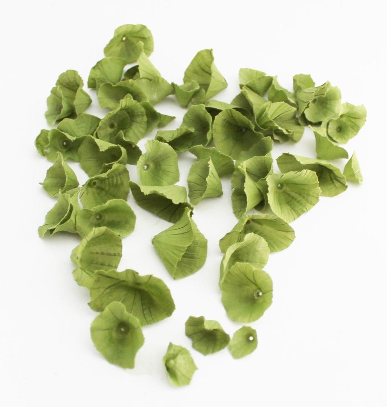May include: A collection of green flower petals, scattered on a white surface. The petals are delicate and have a slightly ruffled texture.