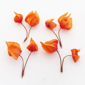 May include: Six orange paper flowers with brown stems are arranged on a white background. The flowers have a delicate, layered petal design, and the stems are thin and slightly curved. The overall aesthetic is natural and artistic.