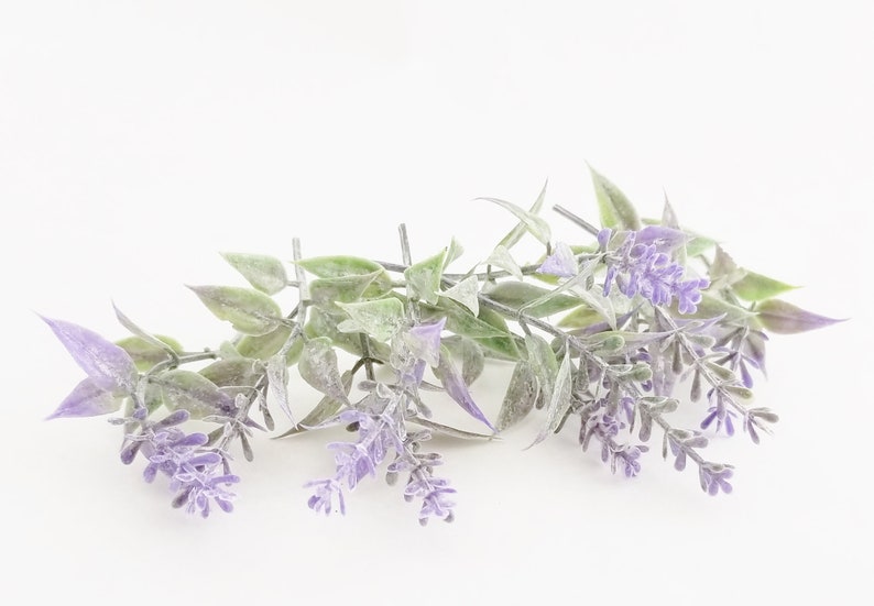 K&ouml;nnte beinhalten: Ein Zweig Lavendel mit lila Bl&uuml;ten und gr&uuml;nen Bl&auml;ttern. Der Lavendel ist in einer Traube angeordnet, wobei die Bl&uuml;ten nach au&szlig;en zeigen.