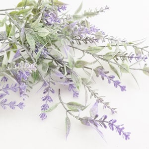 K&ouml;nnte beinhalten: Ein Bund Lavendelzweige mit violetten Bl&uuml;ten und gr&uuml;nen Bl&auml;ttern. Der Lavendel ist locker und nat&uuml;rlich angeordnet, wobei sich einige Zweige &uuml;berlappen.