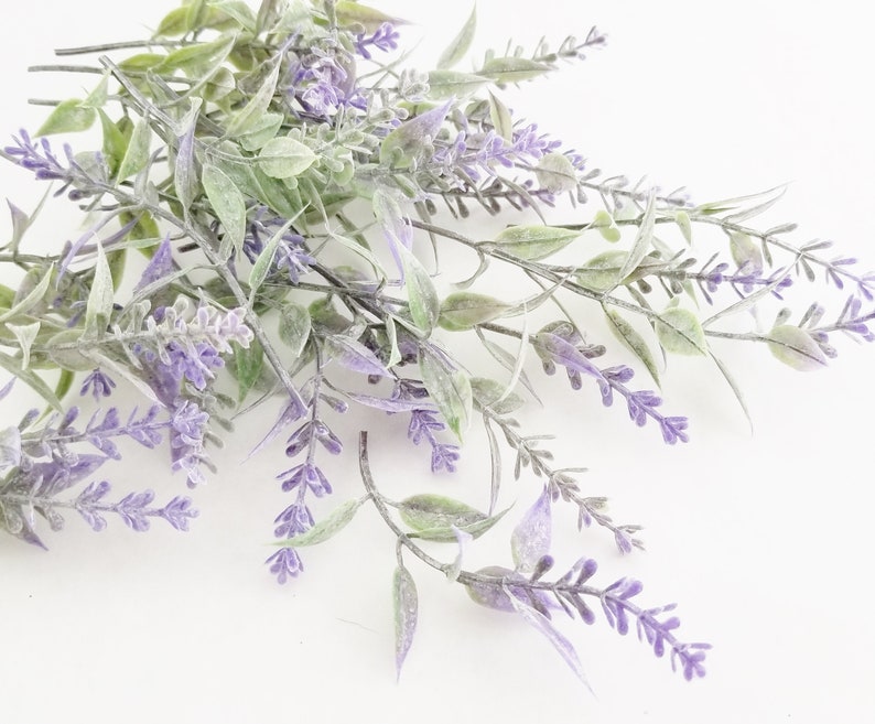 K&ouml;nnte beinhalten: Ein Bund Lavendelzweige mit violetten Bl&uuml;ten und gr&uuml;nen Bl&auml;ttern. Der Lavendel ist locker und nat&uuml;rlich angeordnet, wobei sich einige Zweige &uuml;berlappen.