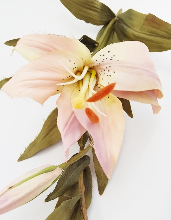 14 Rose Fleur De Lys Tiger Lily Fleur De Lys