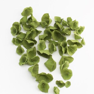 May include: A collection of green paper flower petals, scattered on a white background. The petals are all different sizes and shapes, and they have a slightly textured surface.