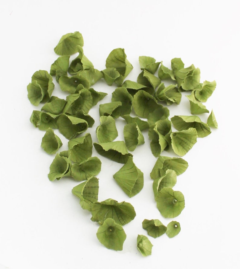 May include: A collection of green paper flower petals, scattered on a white background. The petals are all different sizes and shapes, and they have a slightly textured surface.