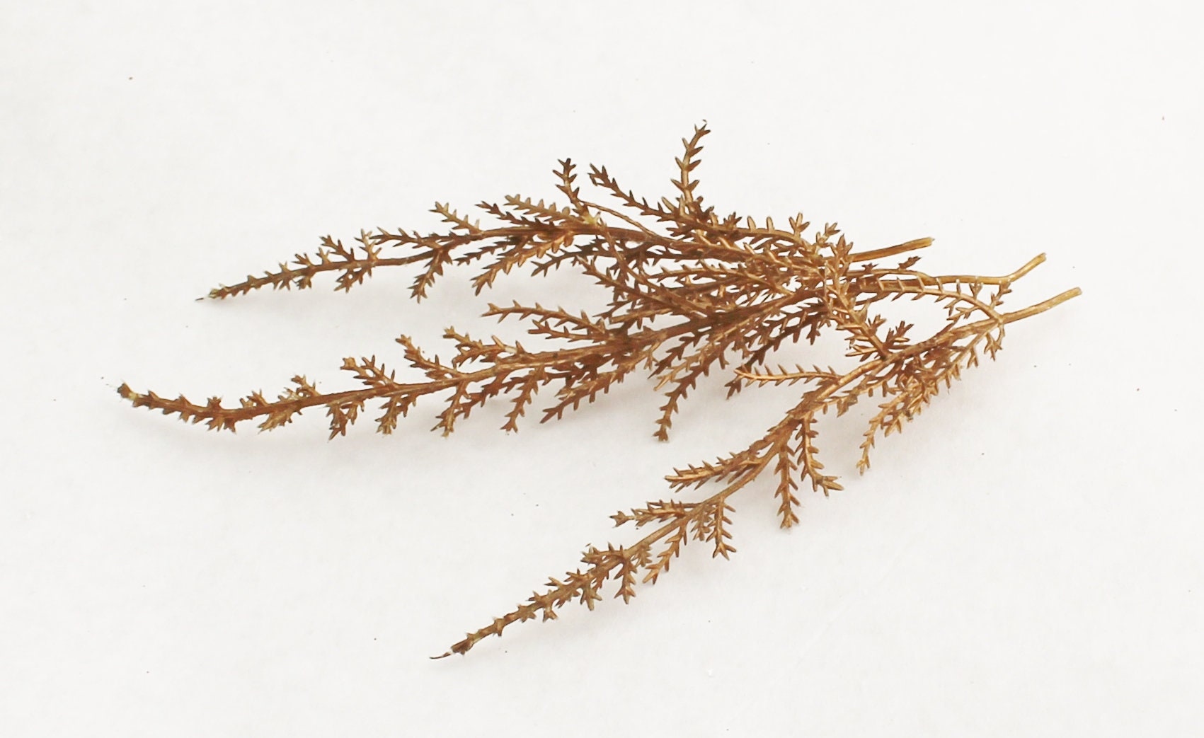 3 Vintage Gold Heather Sprays | Artificial Heather | DIY Bouquet