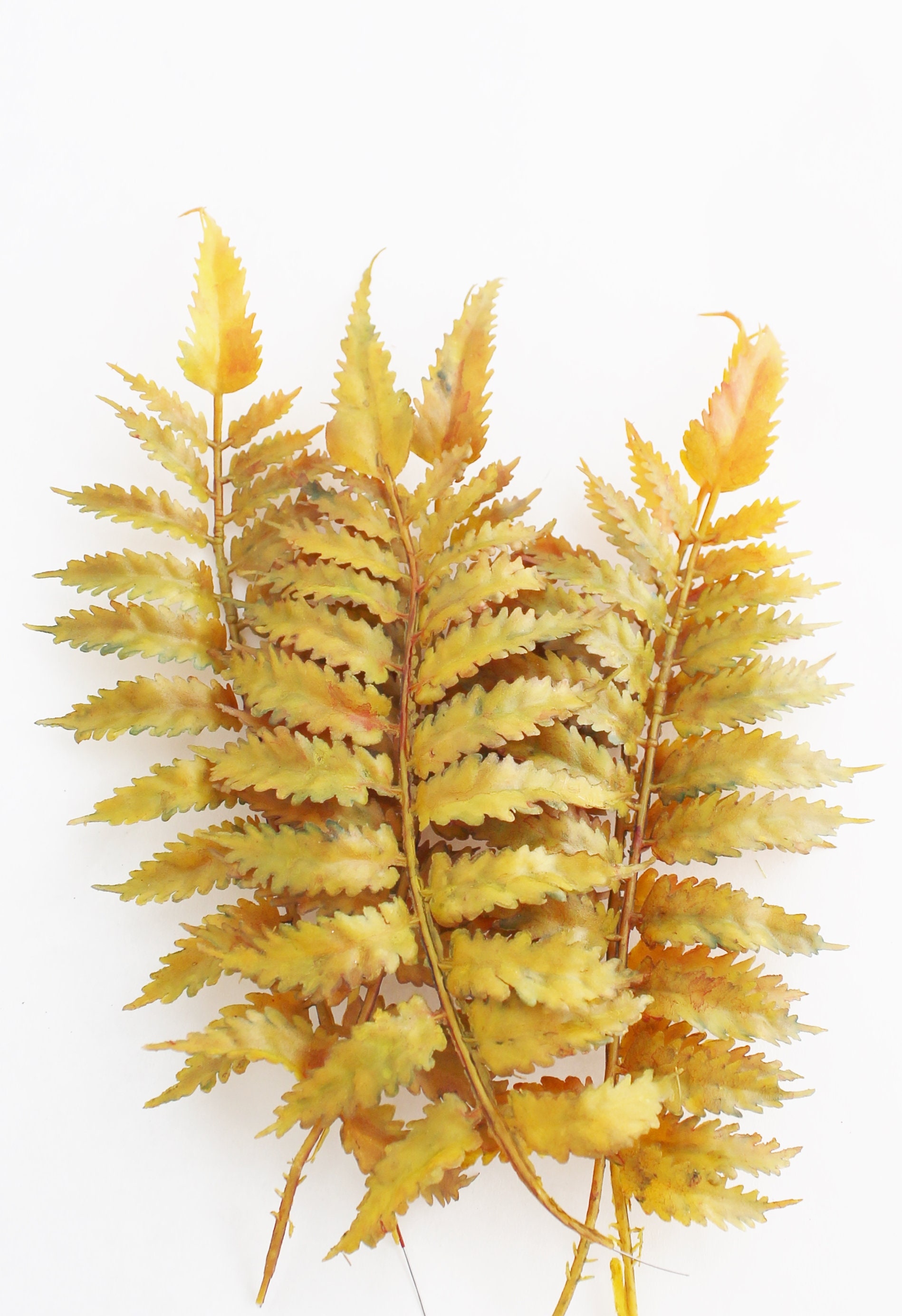 Fall Fern Frond Artificial Fern Leaf Autumn Greenery DIY Etsy