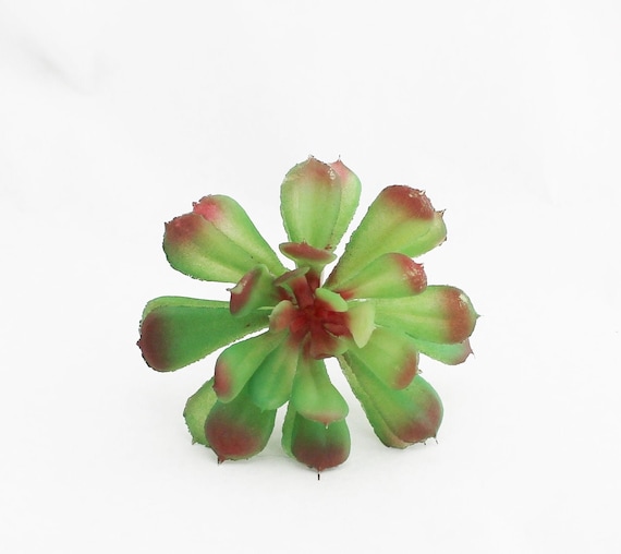 BARGAIN Faux Aeonium Fake Succulent House Plant Artificial Etsy UK