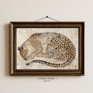 Puede incluir: Una impresión horizontal enmarcada que muestra un leopardo durmiendo con manchas negras sobre un pelaje beige. El leopardo está enroscado en círculo sobre un fondo de cuadrícula beige claro texturizado. El marco es marrón oscuro con borde biselado.
