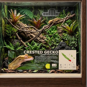 May include: A wooden-framed terrarium containing a crested gecko on a branch, surrounded by live plants, moss, and bark. A rectangular information sign is attached to the front glass, featuring text, a map of New Caledonia, and care icons.