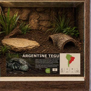 May include: A wooden terrarium enclosure featuring a naturalistic habitat with soil, a flat rock, a curved bark hide, and green plants. An informational placard displays the text ARGENTINE TEGU, habitat details, a map of South America, and care icons.