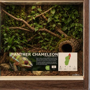 May include: A wooden terrarium enclosure featuring a naturalistic habitat with green foliage, brown branches, and a hollow log. A rectangular information sign is attached to the front glass, displaying text about the Panther Chameleon.