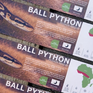 May include: A series of rectangular informational placards for the Ball Python, Python Regius. Each card features a photograph of a snake, the text 'BALL PYTHON', habitat details, a 'NEAR THREATENED' icon, a nocturnal symbol, and a map of Africa.