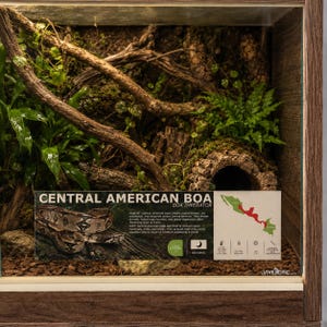 May include: A wooden terrarium enclosure featuring a naturalistic habitat with branches, green foliage, and a cork bark hide. An informational sign displays the text CENTRAL AMERICAN BOA, BOA IMPERATOR, habitat details, and a map of Central America.