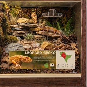 May include: A wooden terrarium enclosure housing a leopard gecko on a rocky landscape with moss, pinecones, and dried leaves. An informational placard displays the text LEOPARD GECKO EUBLEPHARIS MACULARIUS, a map of its habitat, and care icons.