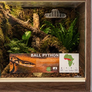 Ball Python Vivarium Care Sticker | Zoo-Quality Water Resistant Enclosure Label (11" x 4")