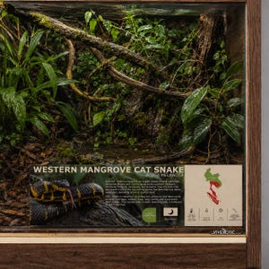 May include: A wooden terrarium enclosure featuring a lush interior with green plants, moss, and branches. An informational sign displays the text Western Mangrove Cat Snake, Boiga Melanota, habitat details, diet, and a map of Southeast Asia.