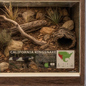 May include: A wooden reptile enclosure featuring a naturalistic habitat with brown soil, rocks, a curved branch, and a cork bark hide. An informational sign displays the text CALIFORNIA KINGSNAKE, a map of the United States, and care icons.