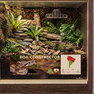 May include: A wooden-framed terrarium enclosure featuring a naturalistic habitat with moss, rocks, green plants, and a ventilation grate. An informational sign displays the text BOA CONSTRICTOR, a snake image, a map of South America, and icons.