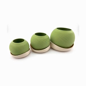 Three matcha green spiral Saddle Pot planters in cream drip saucers lined up from small to large