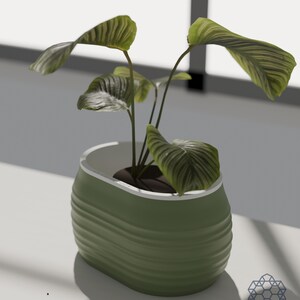 Aquaoval planter in matcha green with a leafy plant, on a sunlit windowsill. Images include 3D-rendered visualizations of the exact print files.