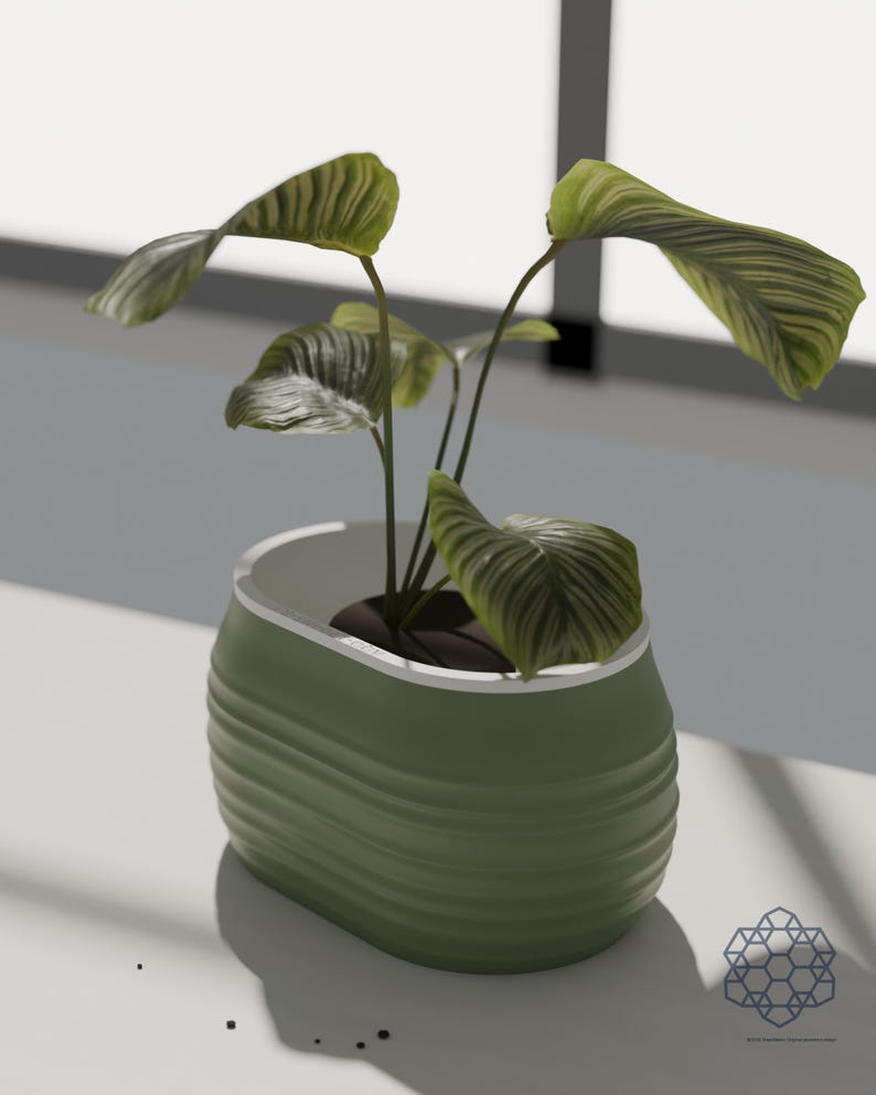 Aquaoval planter in matcha green with a leafy plant, on a sunlit windowsill. Images include 3D-rendered visualizations of the exact print files.