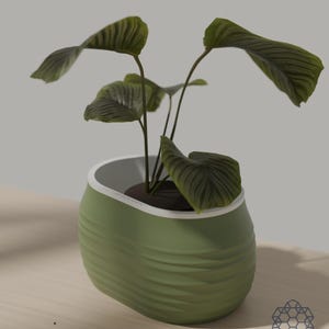 Aquaoval self-watering planter in matcha green holding a leafy green plant, on a sunlit wooden table. Images include 3D-rendered visualizations of the exact print files.