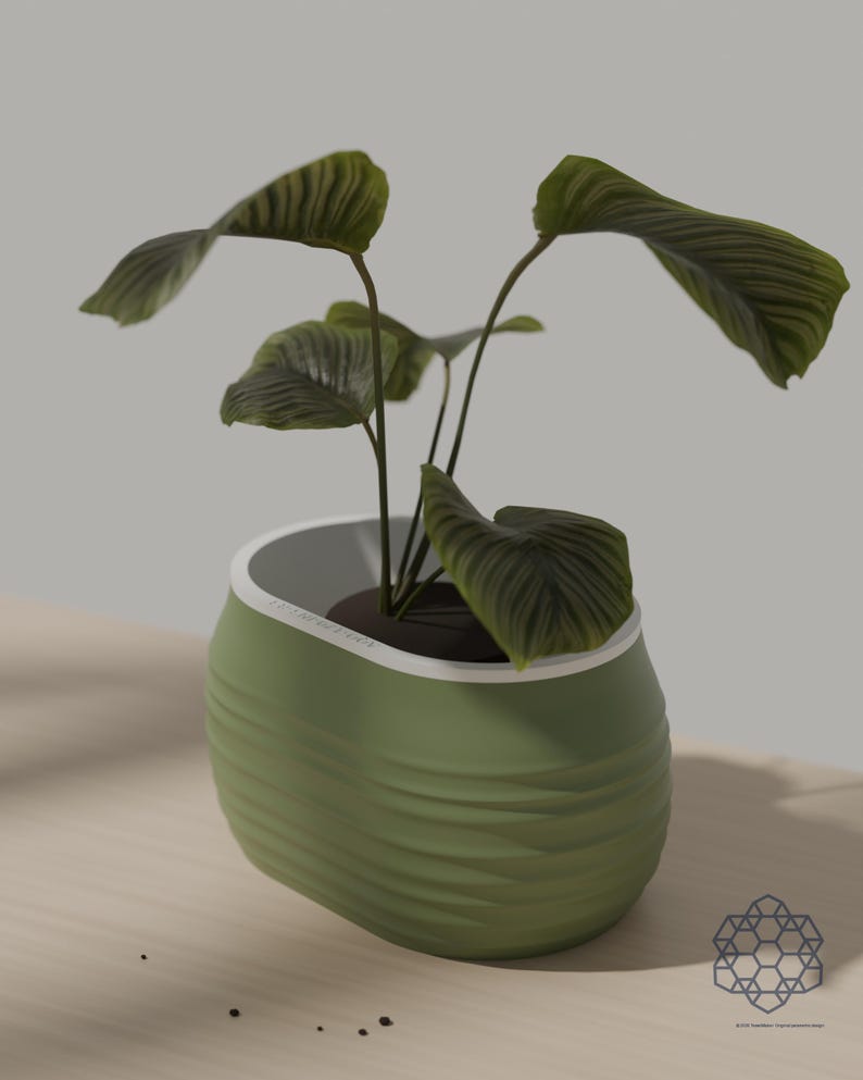 Aquaoval self-watering planter in matcha green holding a leafy green plant, on a sunlit wooden table. Images include 3D-rendered visualizations of the exact print files.