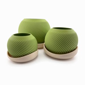 Angled group of three round matcha planters with diagonal spiral fins, each seated in a tilted cream drip saucer