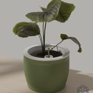 Matcha green Aquapot self watering planter holding a leafy houseplant on a sunlit wooden table, with the white soil insert and float gauge visible at the rim. Images include 3D-rendered visualizations of the exact print files.