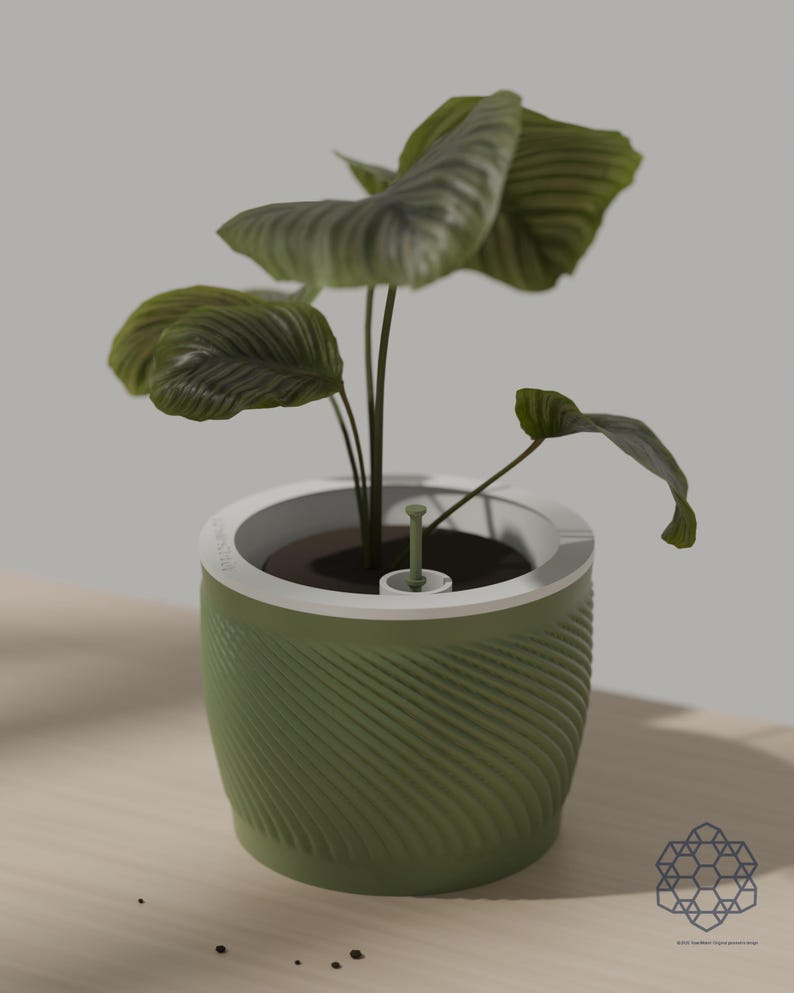 Matcha green Aquapot self watering planter holding a leafy houseplant on a sunlit wooden table, with the white soil insert and float gauge visible at the rim. Images include 3D-rendered visualizations of the exact print files.