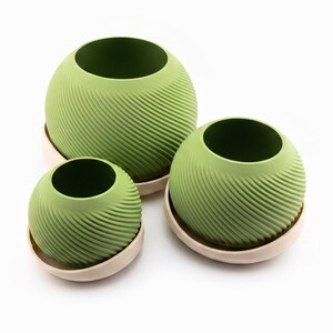 Looking down at three sizes of matcha spiral planters grouped in their cream saucers