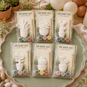 May include: Six individual craft kits in clear plastic packaging, each featuring a white ceramic succulent or cactus figure, a small wooden paintbrush, and three small paint pots. Each card displays the text Life Would Succ Without Creativity.