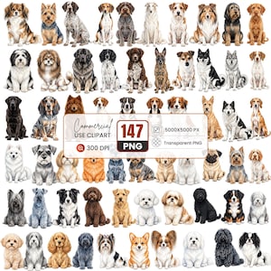 Puede incluir: Una colección digital de 147 ilustraciones de perros en formato PNG, con varias razas en posturas sentadas. El cuadro de texto central muestra Commercial USE CLIPART, 147 PNG, 5000x5000 PX, 300 DPI y Transparent PNG sobre fondo blanco.