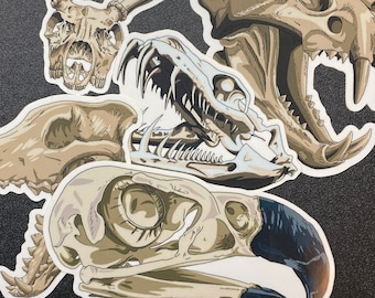 Animal Skulls Sticker Set