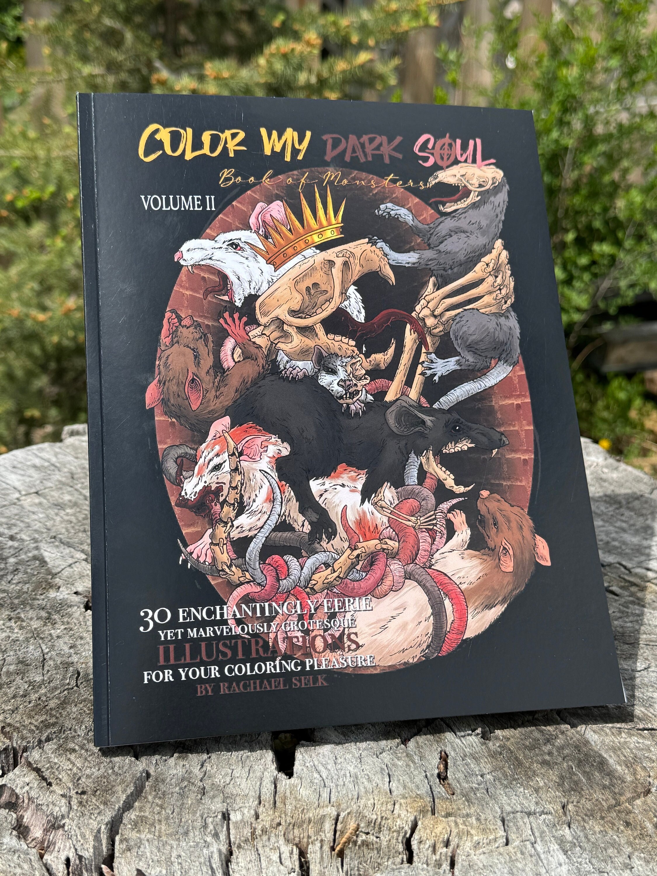 Color My Dark Soul Vol. 2: Book of Monsters — Coloring Book