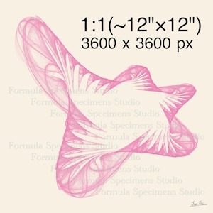 Puede incluir: Un gráfico digital que presenta una forma fractal abstracta de color rosa con líneas fluidas e intrincadas sobre un fondo crema. El texto incluye 1:1 (~12"x12"), 3600 x 3600 px, Formula Specimens Studio y la firma Jun Jii abajo a la derecha.