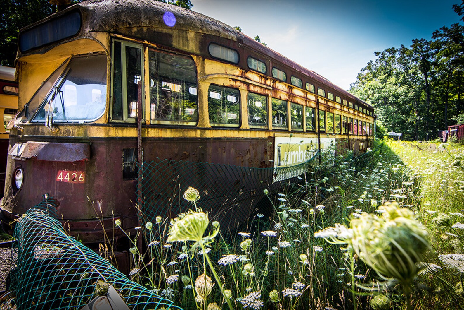 Toronto streetcar photo wall art printed on canvas Etsy
