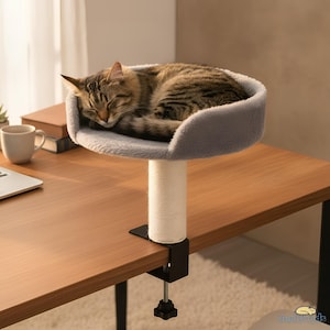 May include: A brown tabby cat sleeping in a circular, grey, plush-lined elevated bed. The bed is supported by a white, rope-wrapped scratching post attached to a black metal clamp that secures the entire structure to the edge of a wooden desk.
