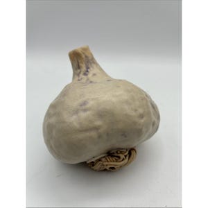Puede incluir: Una escultura de cerámica con forma de cabeza de ajo con una superficie texturizada de color blanco roto, motas sutiles en tonos violetas y una parte superior cónica. La base del bulbo de ajo muestra una estructura de raíz detallada, enroscada y de color marrón claro.