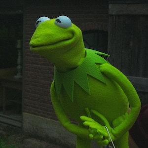 Könnte beinhalten: Eine leuchtend grüne Filzpuppe in Form eines Frosches mit großen weißen Augen, schwarzen Pupillen und einem gezackten Kragen. Die Puppe hat einen glatten, runden Kopf, ein breites Maul und schlanke Arme, die sanft vor dem Körper positioniert sind.