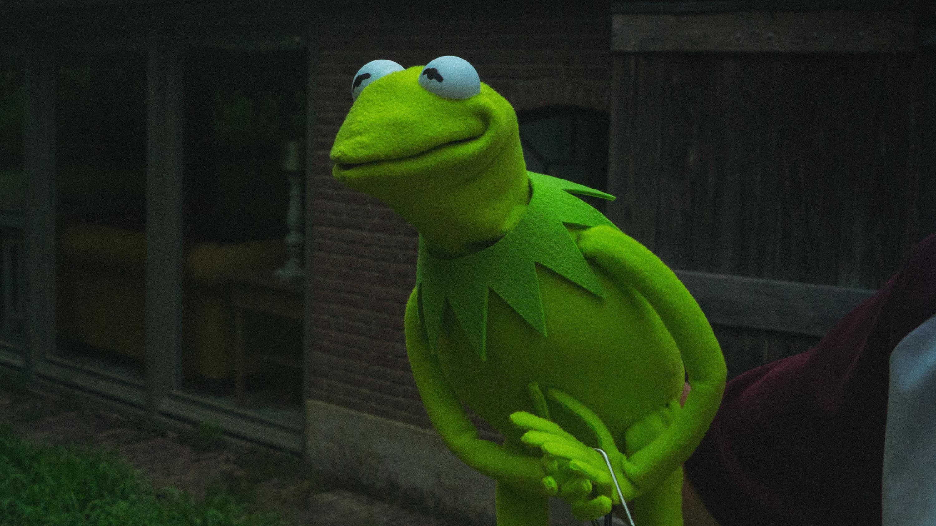 Kermit the Frog Replica - Etsy