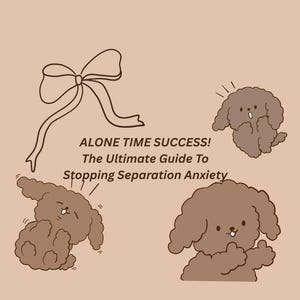 Op de afbeelding: Een lichtbruine grafische illustratie met drie bruine honden met krullend haar, een grote strik en de tekst ALONE TIME SUCCESS! The Ultimate Guide To Stopping Separation Anxiety. De honden zijn in verschillende houdingen afgebeeld op een lichtbruine achtergrond.